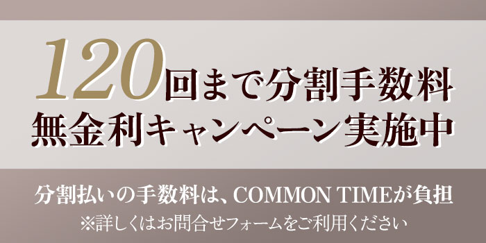 100回まで分割手数料無金利キャンペーン実施中